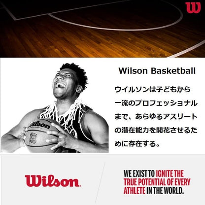 WILSON NBA Forge Series Indoor/Outdoor Basketballs